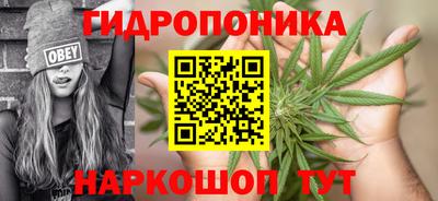 молекула духа Белорецк