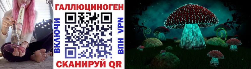 Галлюциногенные грибы мицелий  как найти закладки  Борзя 
