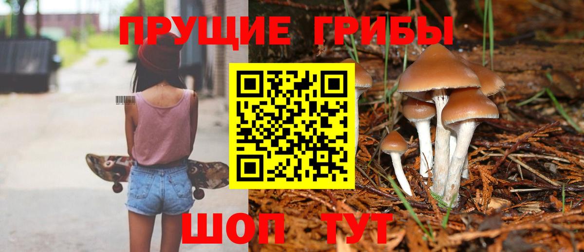 Галлюциногенные грибы Magic Shrooms Борзя